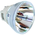 ACER D4K2107 projector lamps