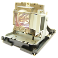 BENQ 5J.J0W05.001 lamps