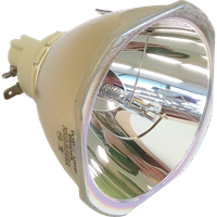 EPSON EB-Z9900W (portrait) Lamp without housing