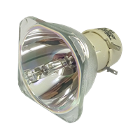 HITACHI CP-DH300 Lamp without housing