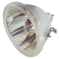 LG RL-44SZ20RD Lamp without housing