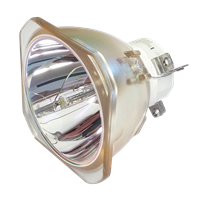 NEC NP-PA571W-13ZL Lamp without housing