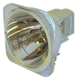 OSRAM P-VIP 260/1.0 E20.6 bulb