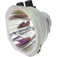 PANASONIC PT-DW830UK (portrait) Lamp without housing