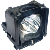 SAMSUNG SP-71L8UHNX/XAX Lamp with housing