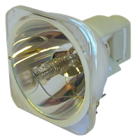 SANYO PDG-XT10L Lamp without housing