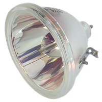SHARP XV-DW100U Lamp without housing